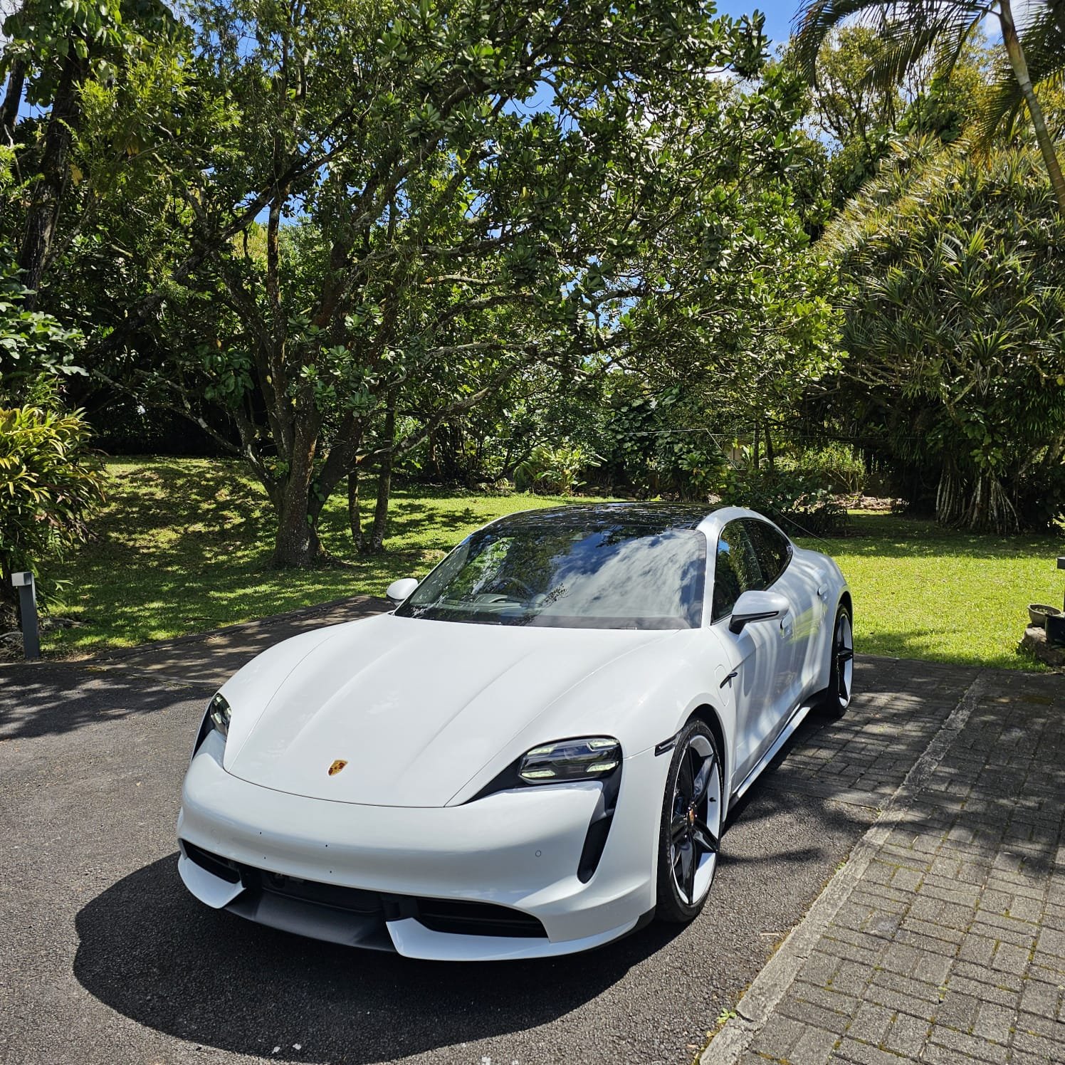Porsche Taycan in white — gloss enhancement